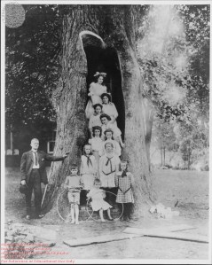 Mayor Claude and children in Liberty Tree, MSA SC 1477-1-5592 Mayor Claude and children in Liberty Tree, MSA SC 1477-1-5592